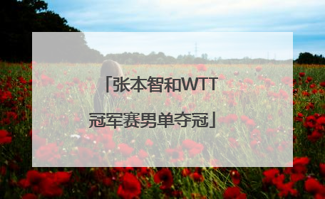 「张本智和WTT冠军赛男单夺冠」wtt冠军赛张本智和教练