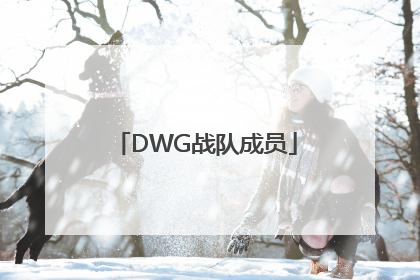 「DWG战队成员」dwg战队成员转会