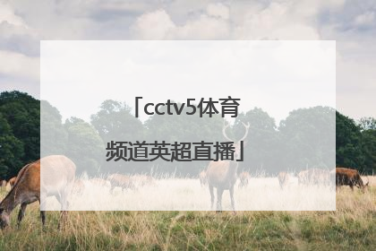 「cctv5体育频道英超直播」CCTV5足球直播英超