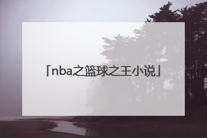 「nba之篮球之王小说」nba之篮球之王TXT下载