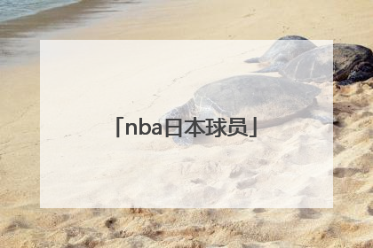 「nba日本球员」日本效力NBA球员